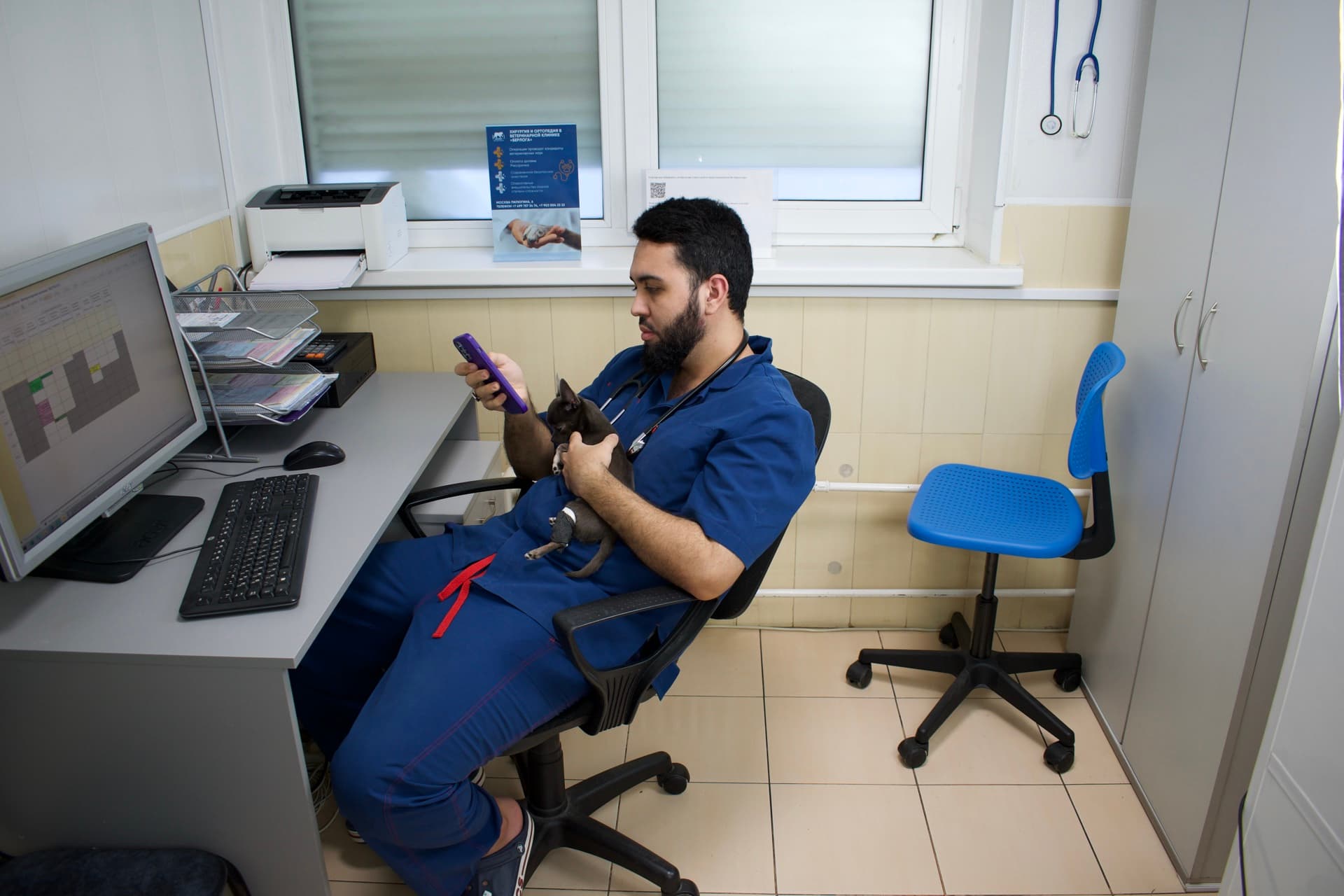 Чек-ап для кошки