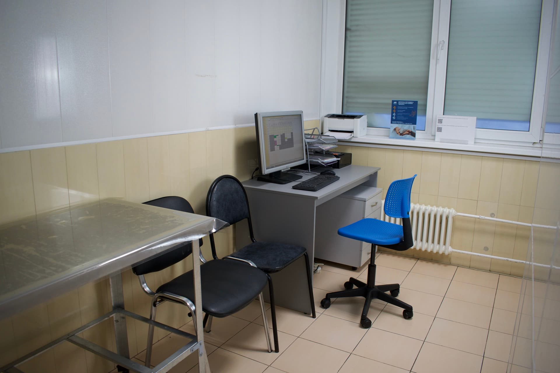 Вакцинация щенков